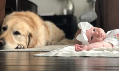 Baby Harper, born after IVF helped her mom overcome polycystic ovary syndrome, lying on a blanket next to her dog | Dallas IVF | Frisco, TX